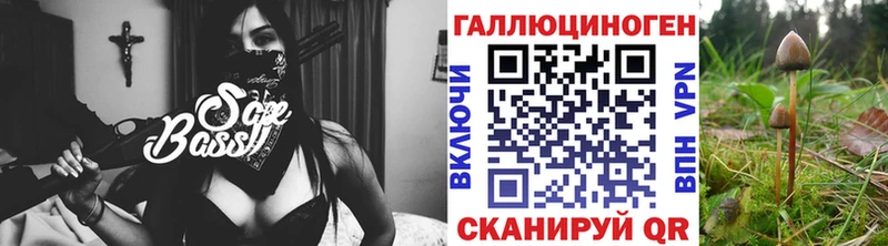 где купить наркоту omg вход Псилоцибиновые грибы мицелий Билибино